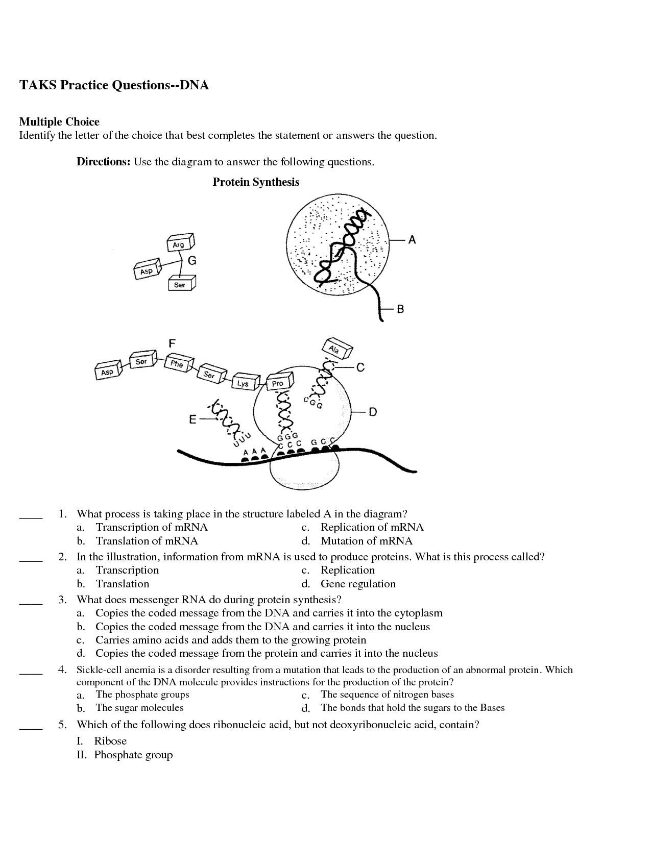Dna Replication Worksheet Answer Key E streetlight