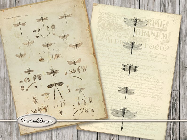 free printable paper cards