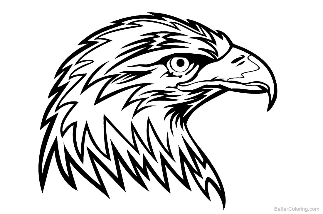 Eagle Coloring Pages Head Free Printable Coloring Pages