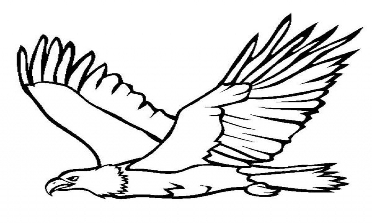 Eagle Printable Coloring Pages At GetDrawings Free Download