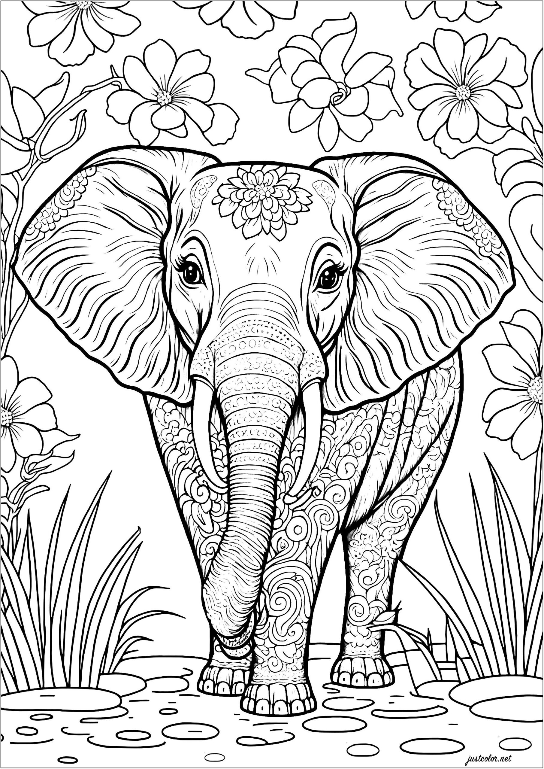Elephant And Flowers Free Coloring Page