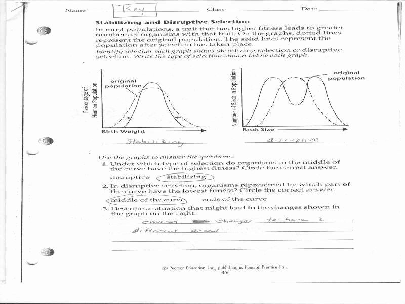Evidence Of Evolution Worksheet Elegant Evidence Evolution Worksheet 