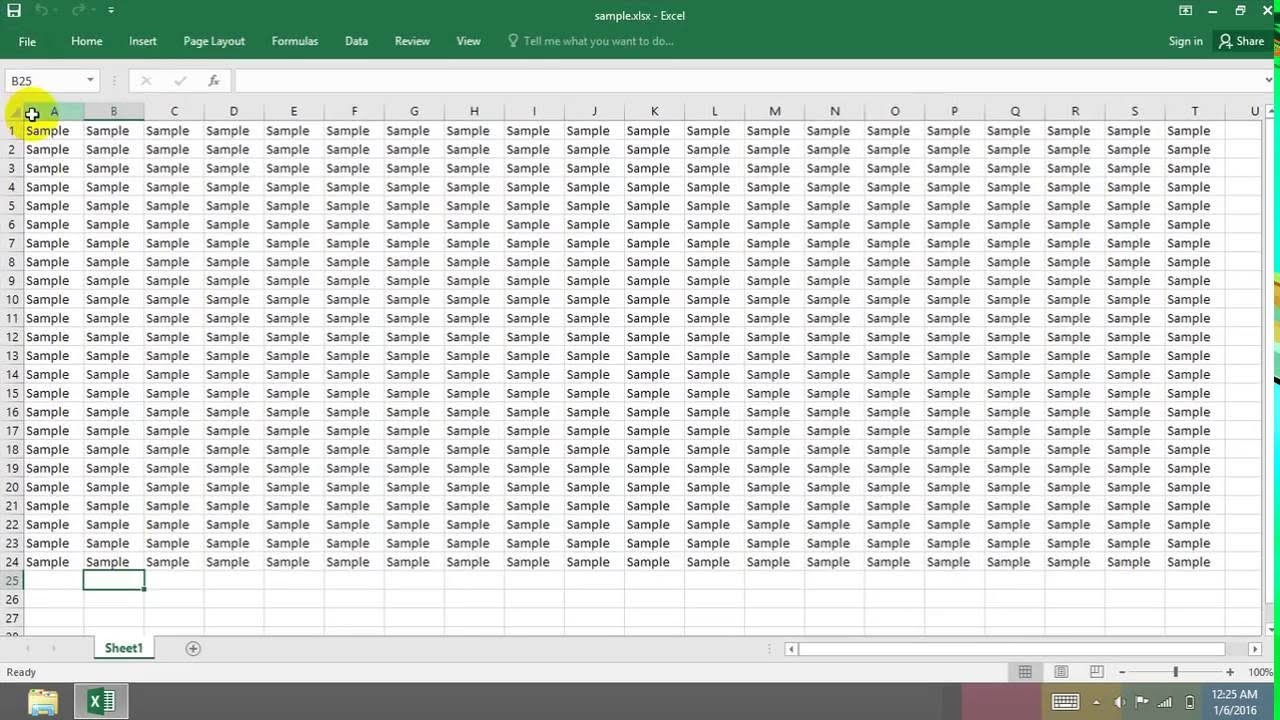 password excel worksheet