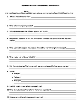 Fibers In Forensics Review Worksheet Prntbl concejomunicipaldechinu 