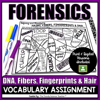 Fibers In Forensics Review Worksheet Prntbl concejomunicipaldechinu 