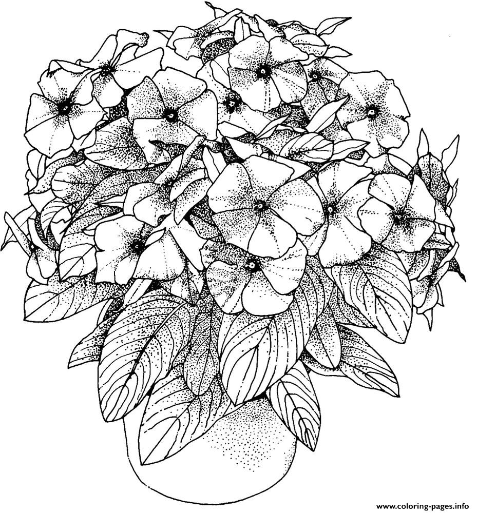 Coloring Pages For Adults Flowers