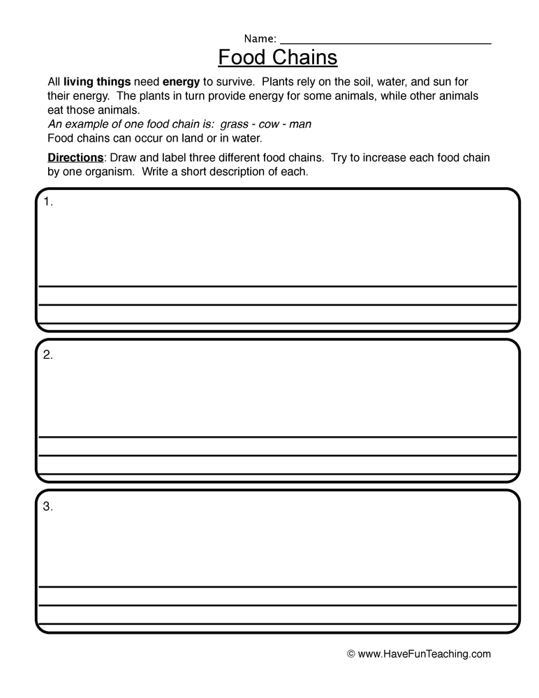 Food Chain Worksheet By Teach Simple