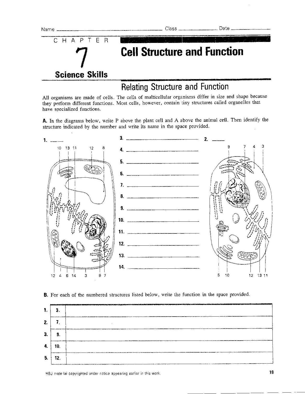 formula to reference cell a1 from alpha worksheet