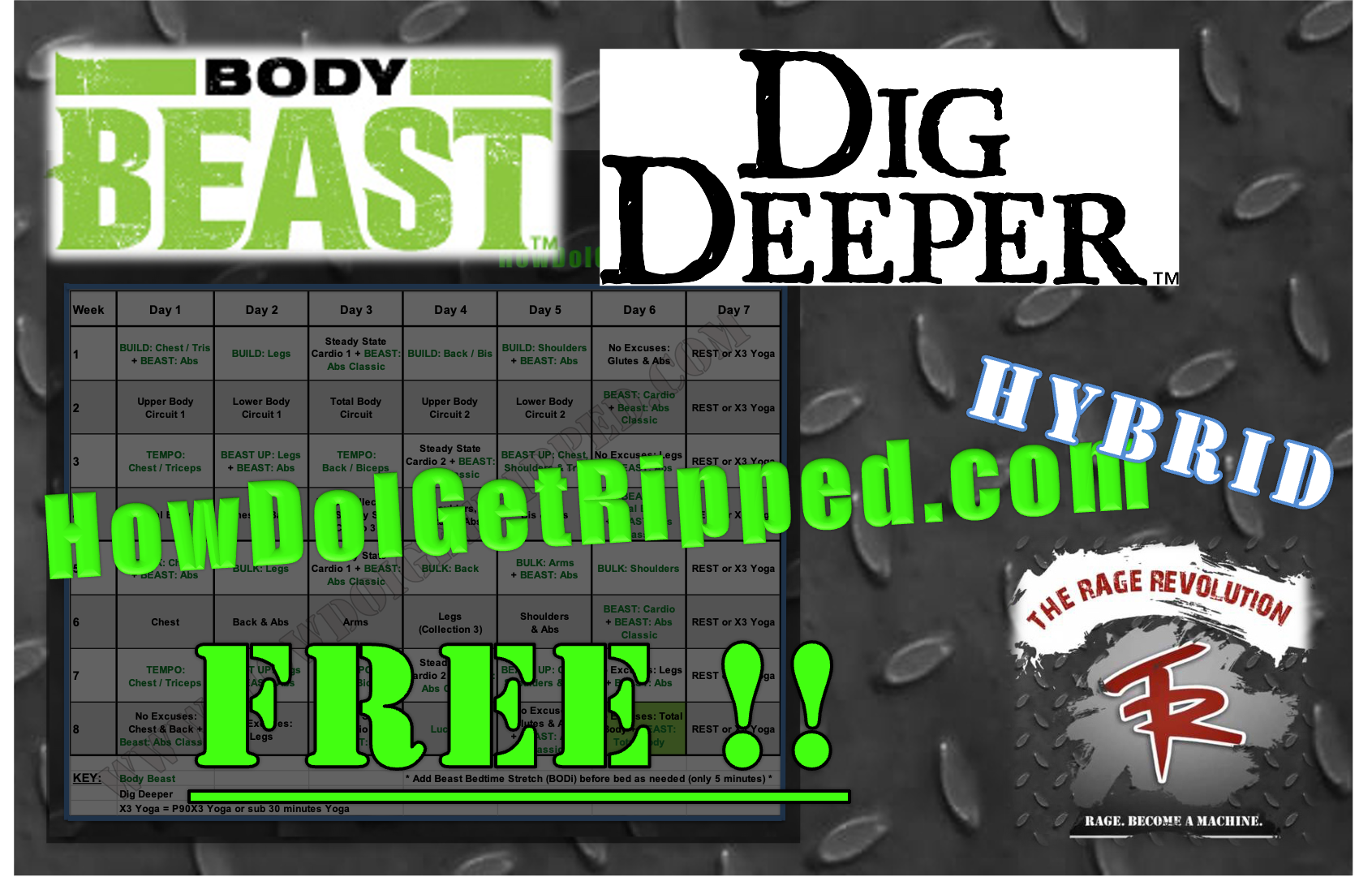 FREE Body Beast Dig Deeper Hybrid How Do I Get Ripped Worksheets 