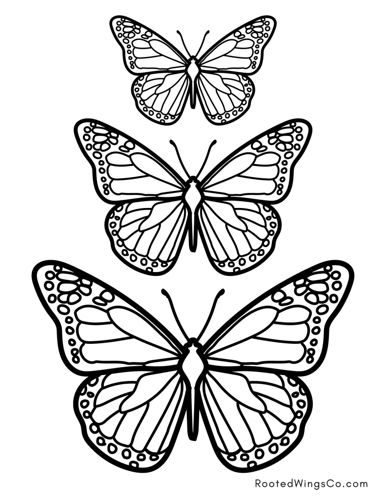 Butterfly Color Pages