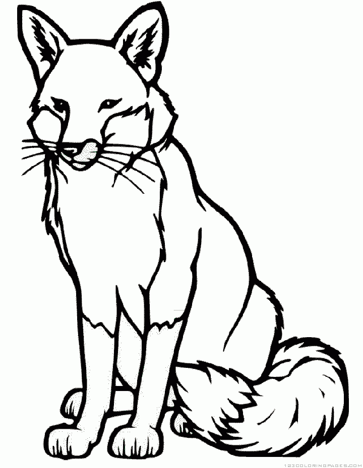 Coloring Page For Fox