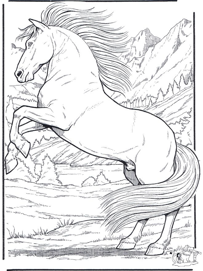 Printable Horse Coloring Pages