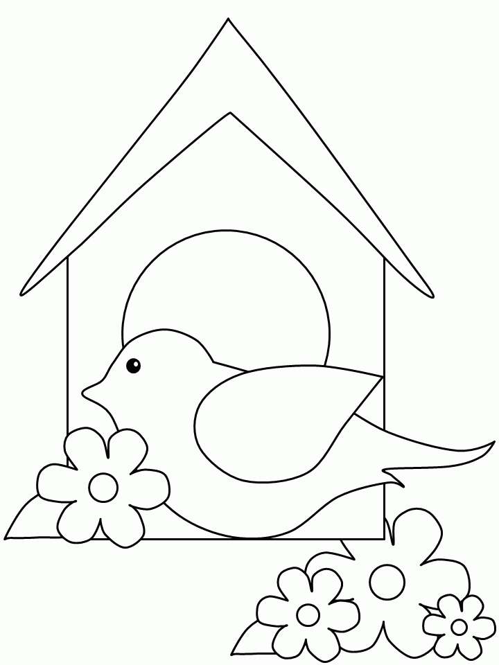 printable pictures of birds