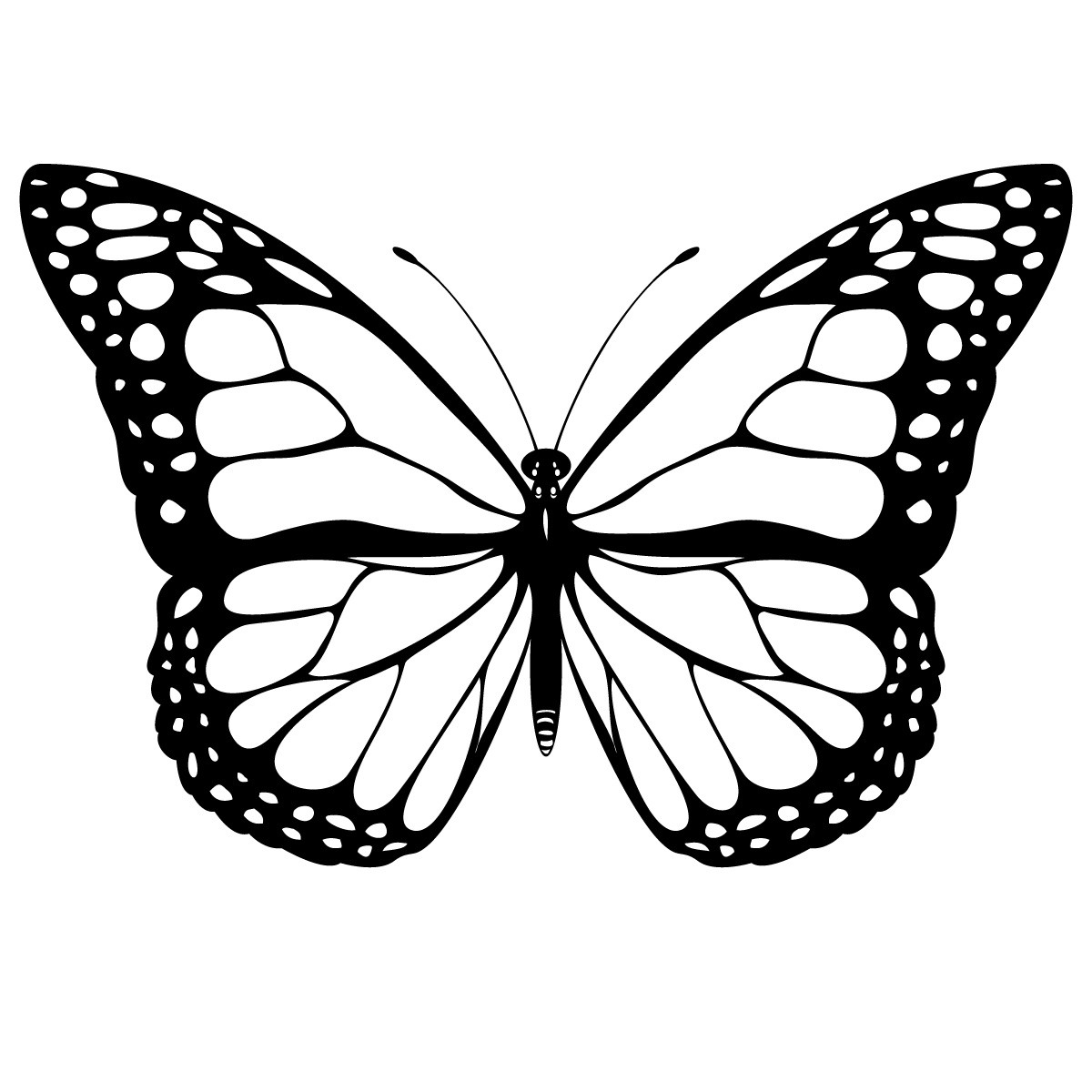 Free Butterfly Coloring Pages