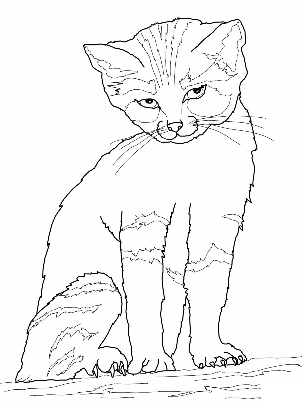 Free Cat Coloring Pages
