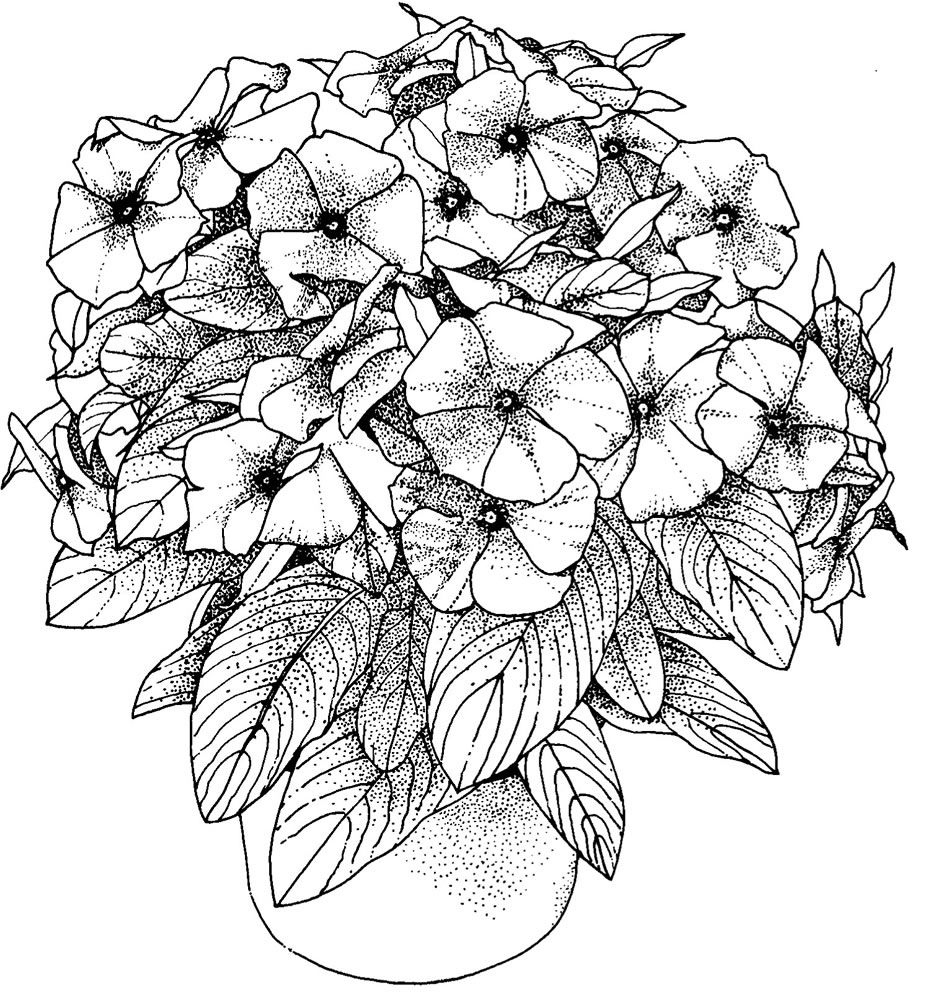 adult coloring book pages free