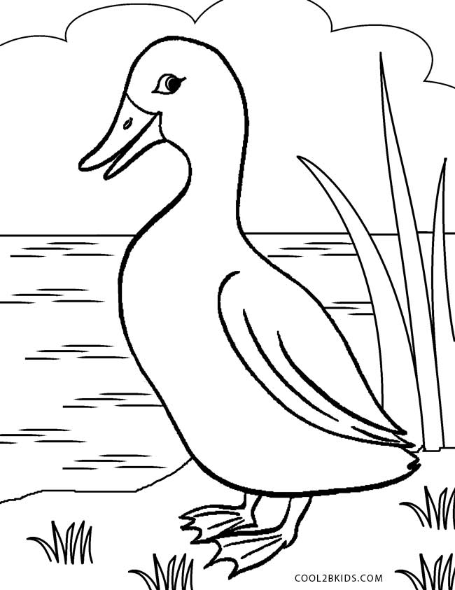 Free Printable Duck Coloring Pages