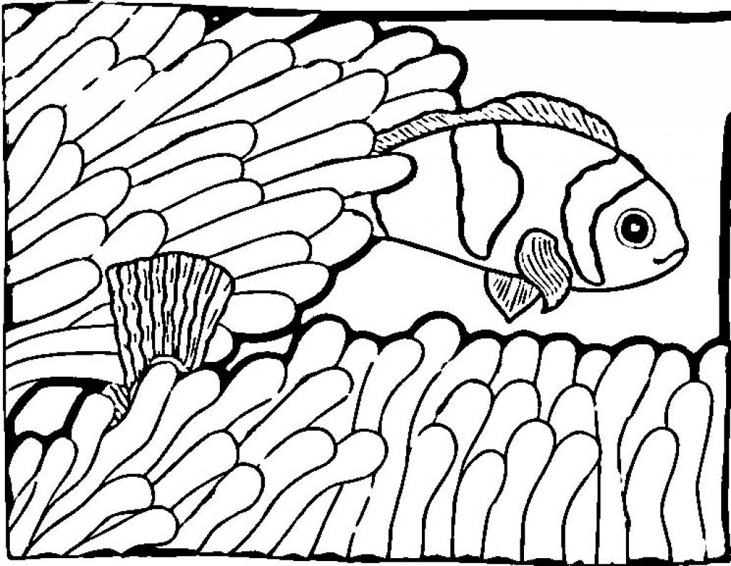 Coloring Pages Fish