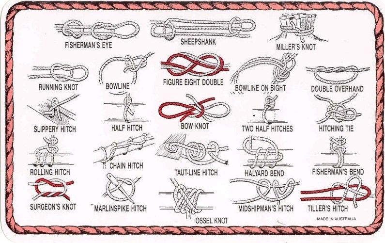 Free Printable Fishing Knot Cards Printable Word Searches