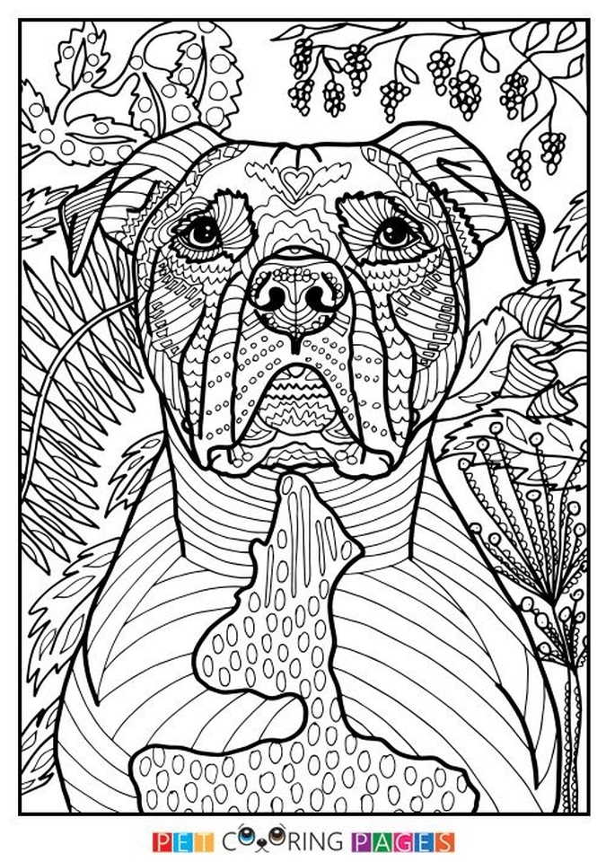 Free Printable Holiday Adult Coloring Pages Large Print Coloring 84992