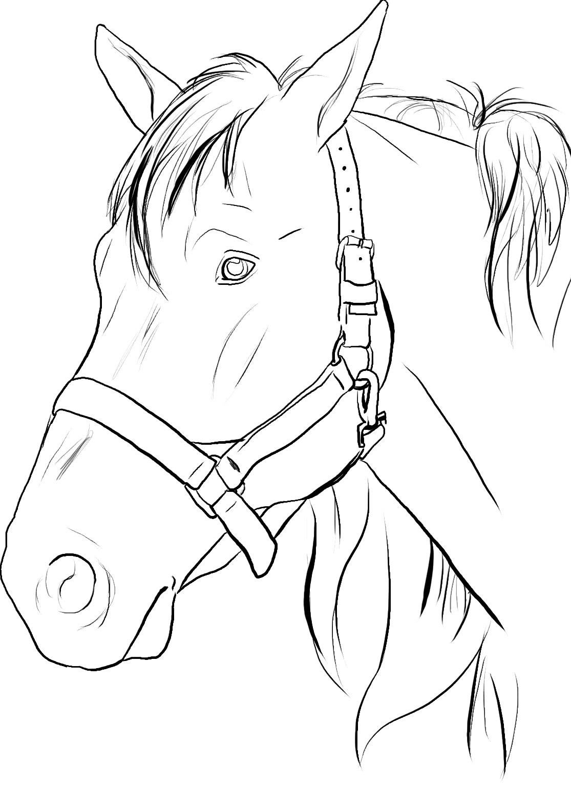 Horse Coloring Pages Printable