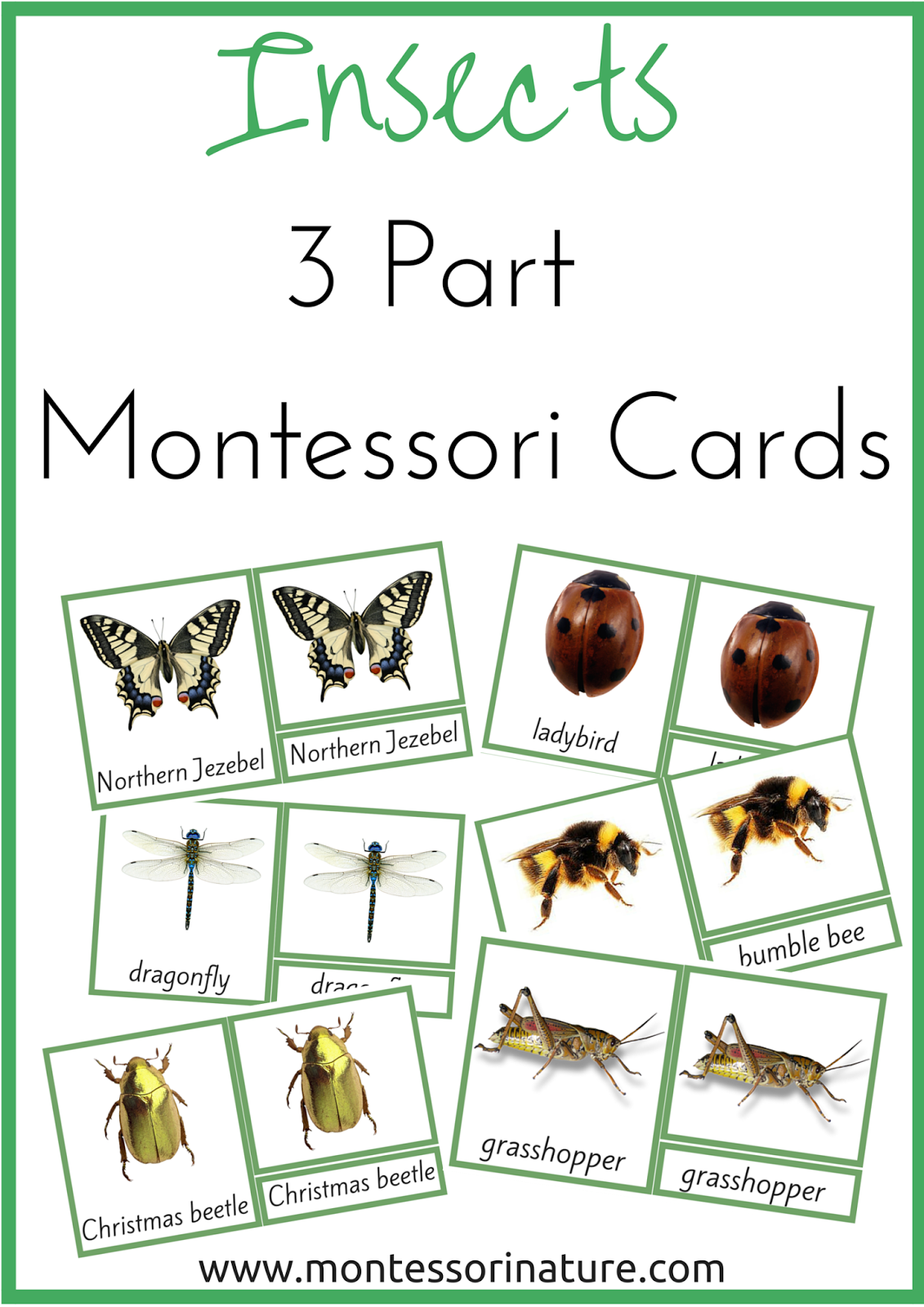 free printable montessori cards