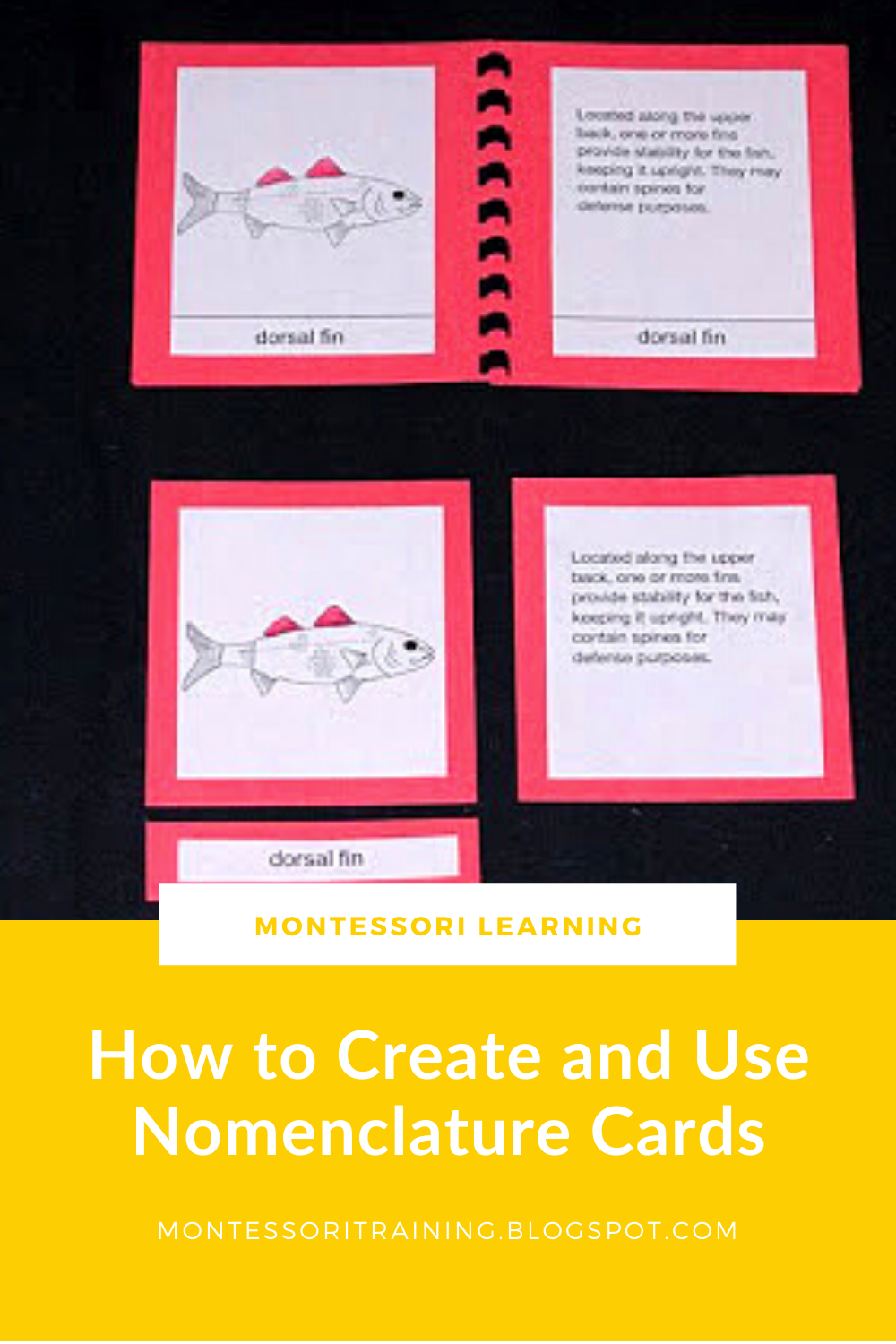 Free Printable Montessori Nomenclature Cards Printable Word Searches