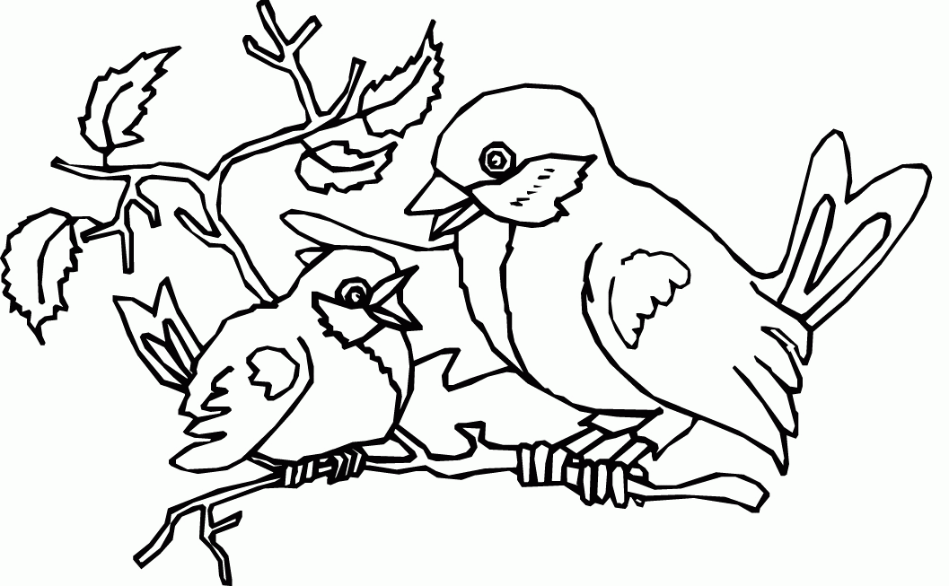 Free Printable Pictures Of Birds Coloring Home