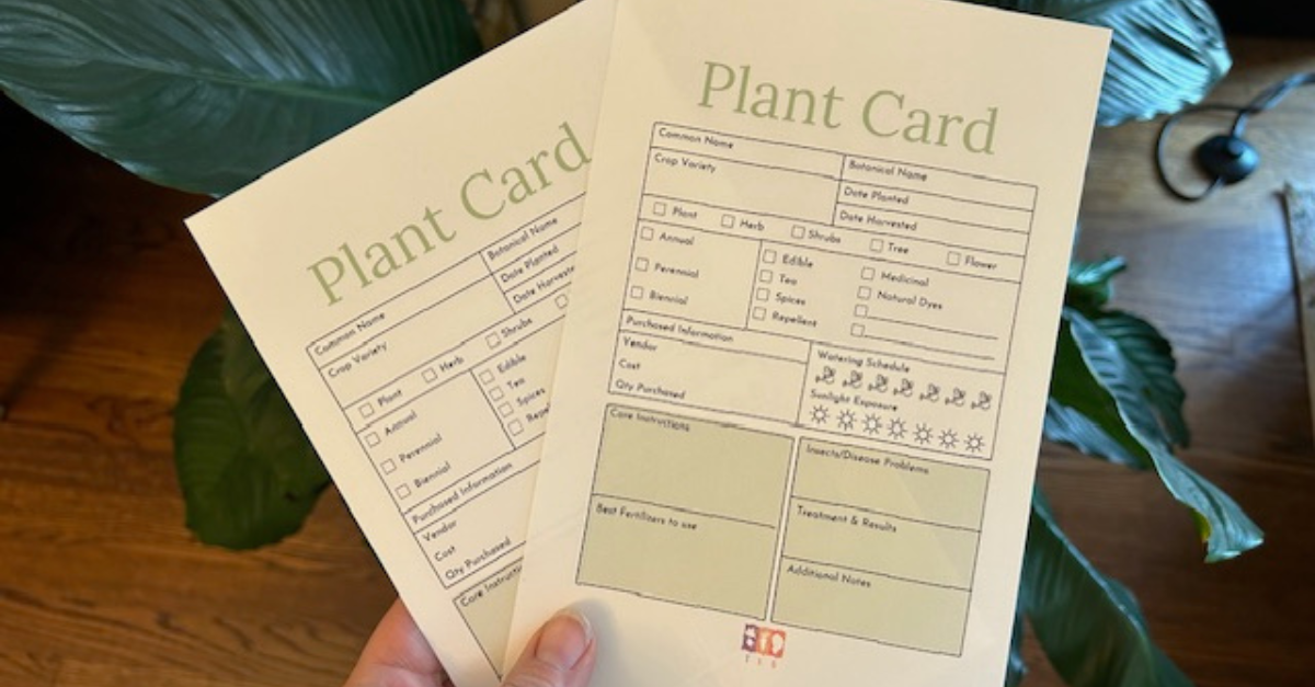 Free Printable Plant Care Cards The Kitchen Garten