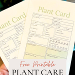 free printable plant care cards pdf