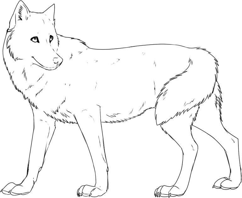 Gray Wolf Coloring Pages
