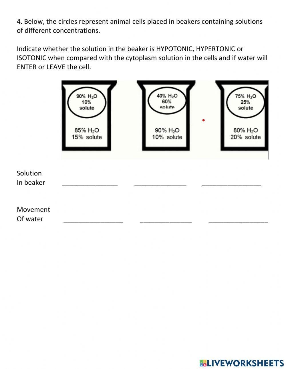 GCSE Biology Diffusion Osmosis And Active Transport Worksheet 