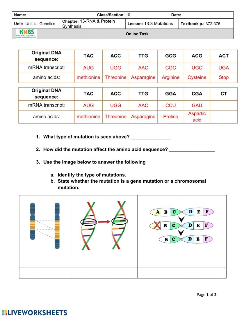 Genetic Mutations Worksheet Answer Key Genetics Lesson Mutation 