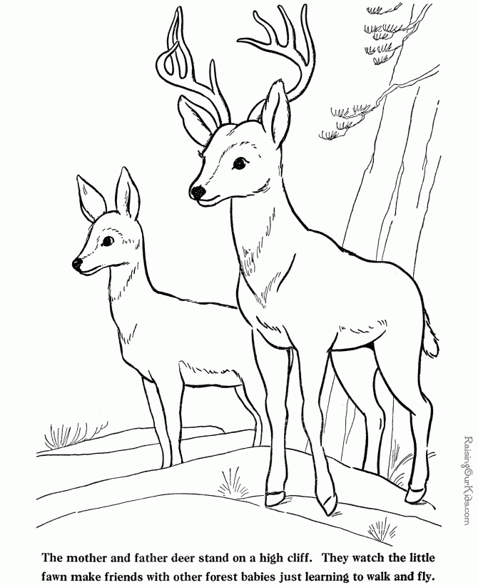 Get Creative With Printable Deer Coloring Pages