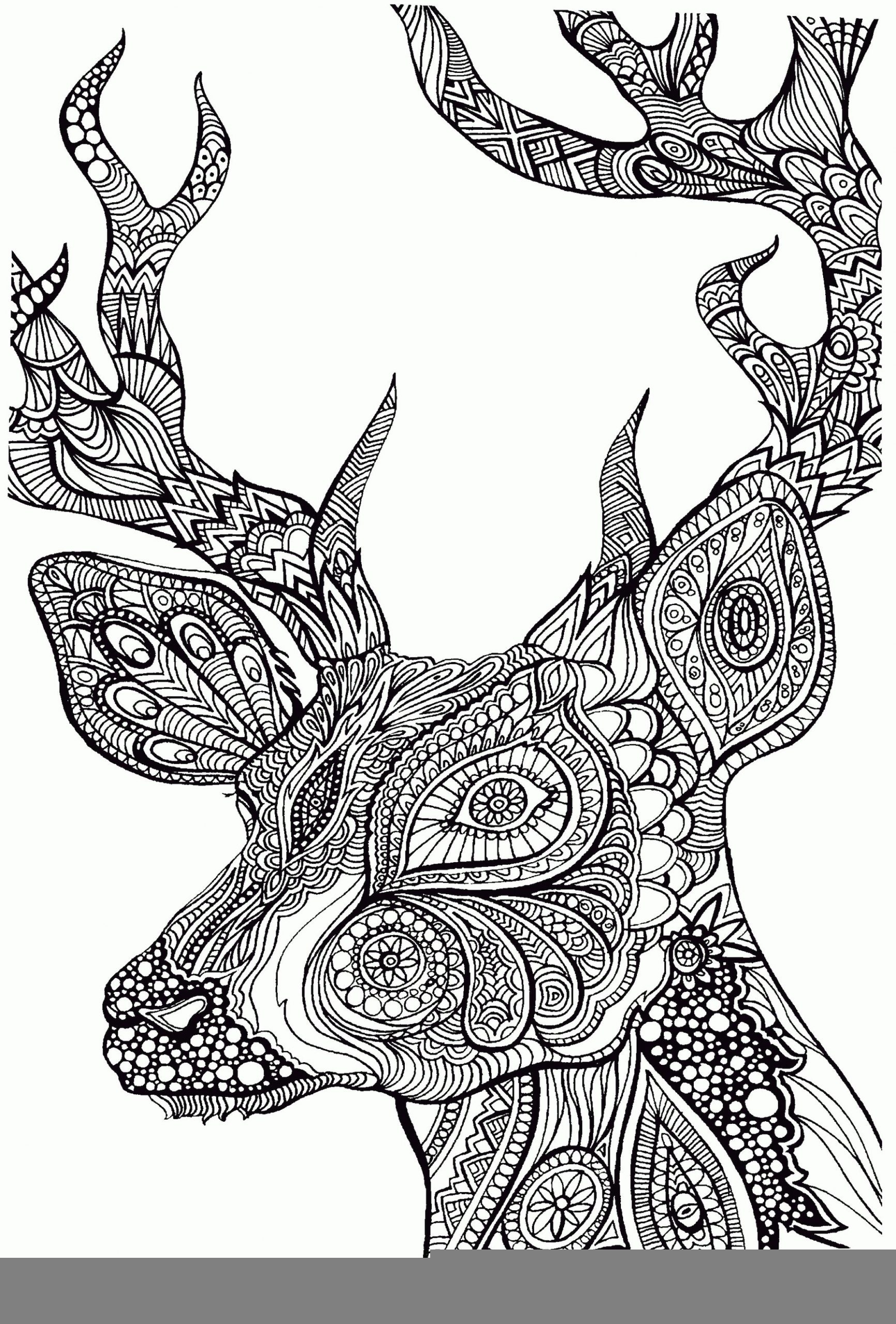 Get This Adult Coloring Pages Animals Deer