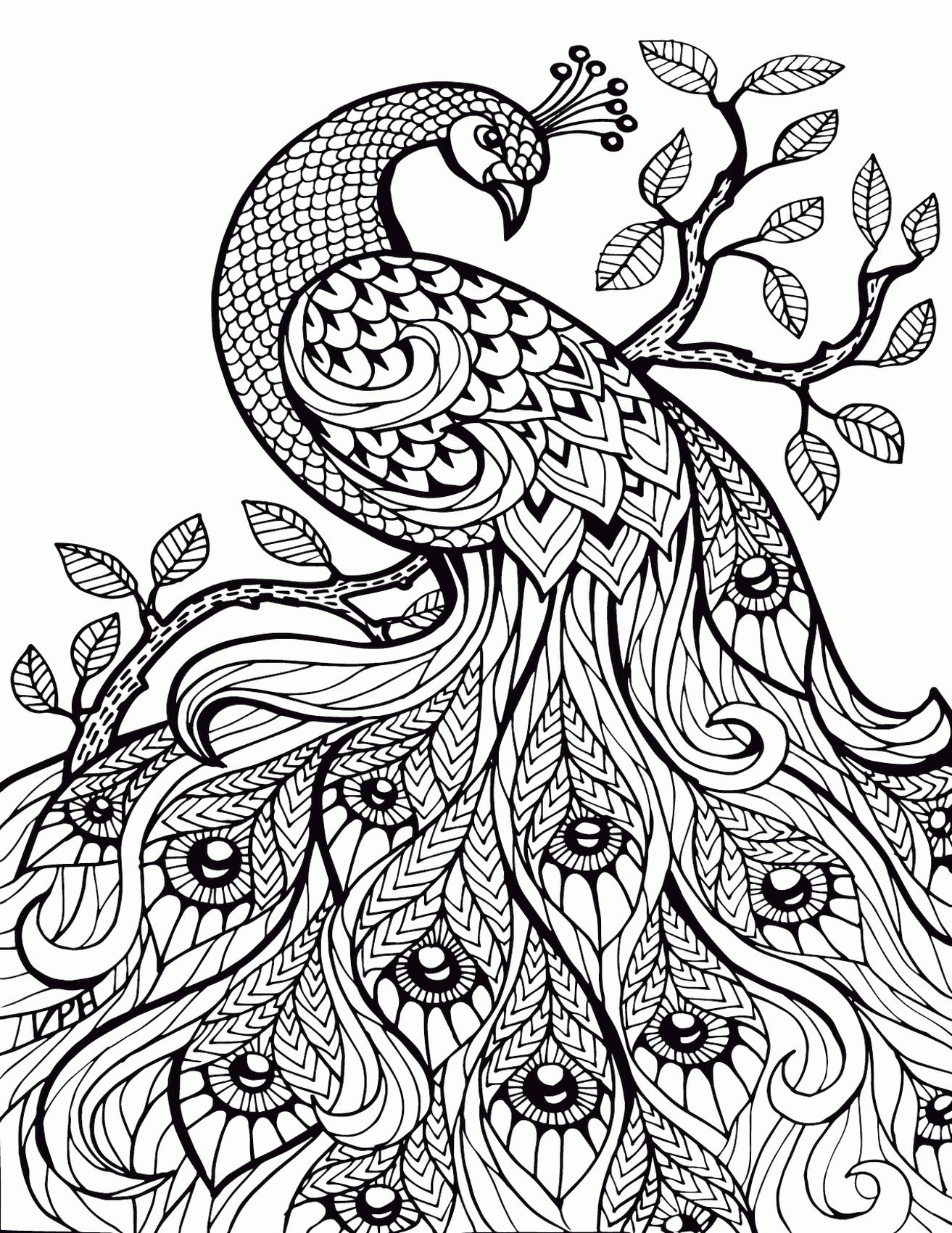 Adult Coloring Pages Animals