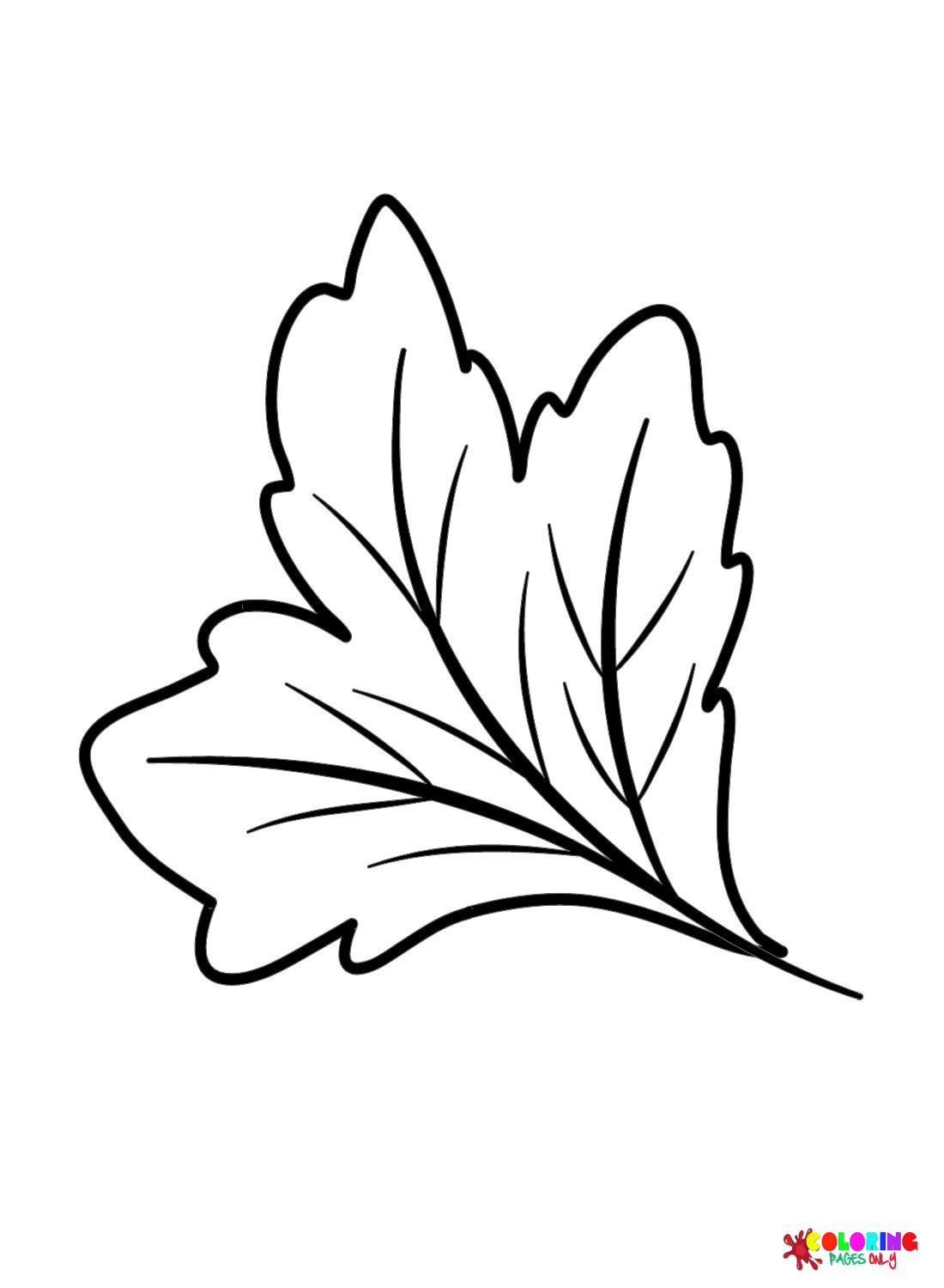Leaf Coloring Page