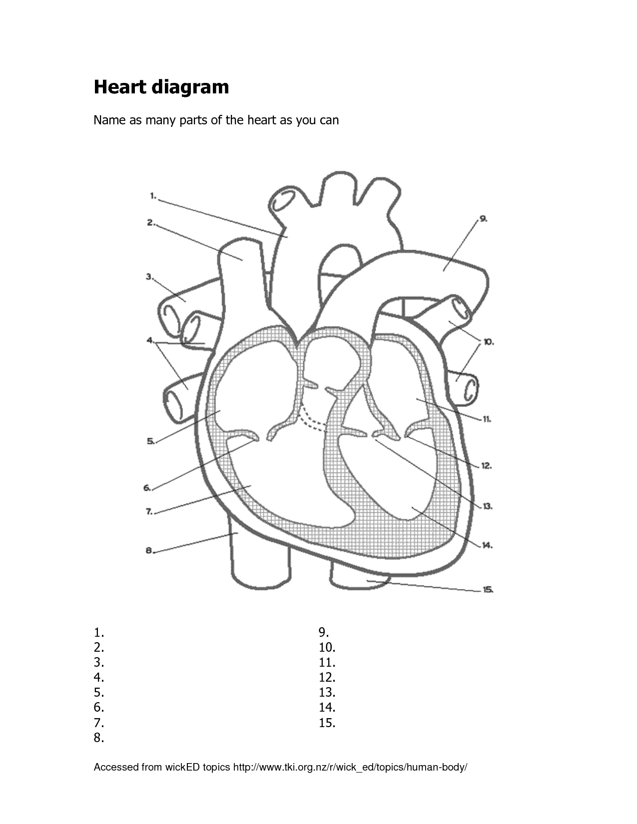 Heart Diagram Human Heart Diagram Heart Coloring Pages