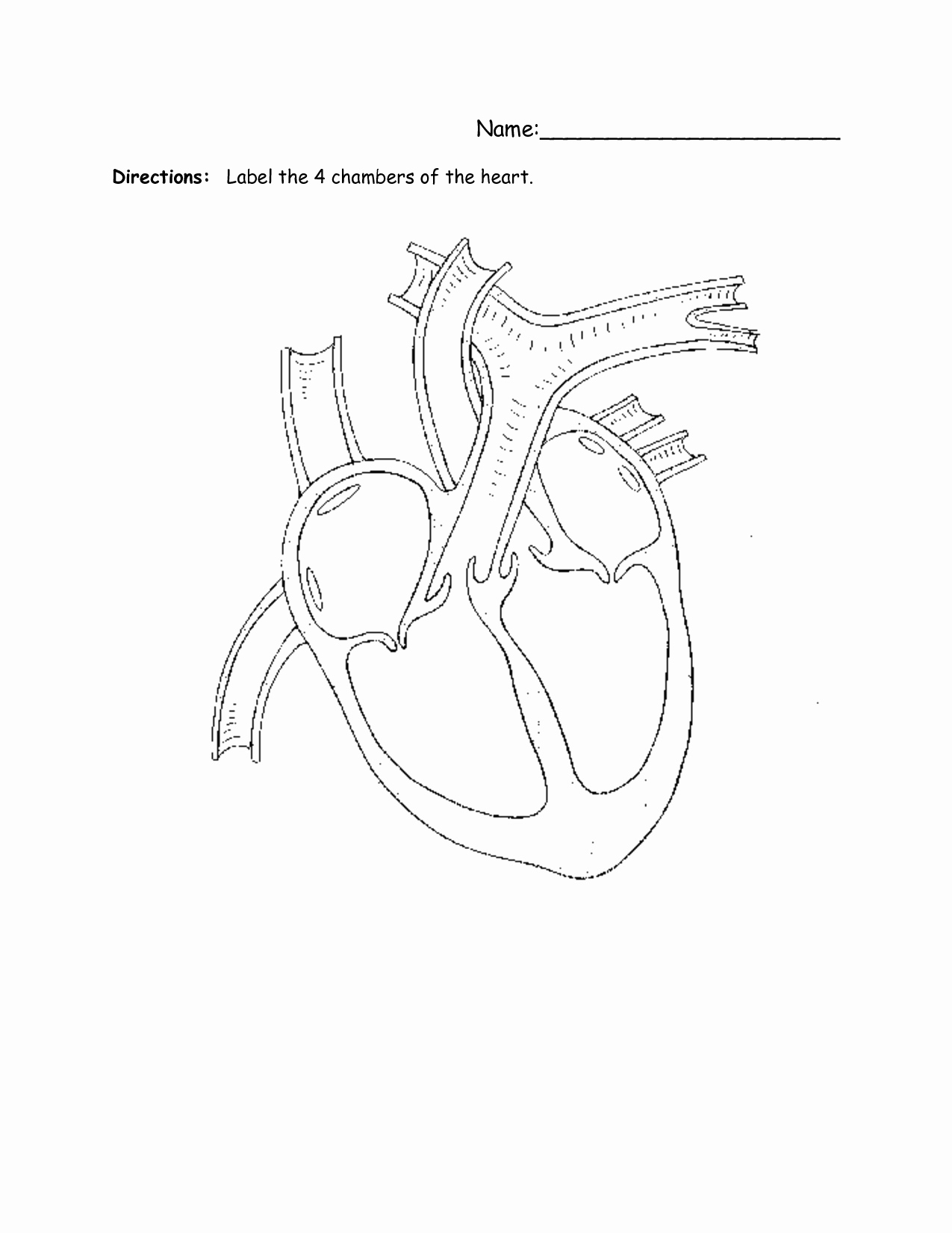 Heart Diagram Worksheet Blank Beautiful Simple Heart Diagram For Kids 