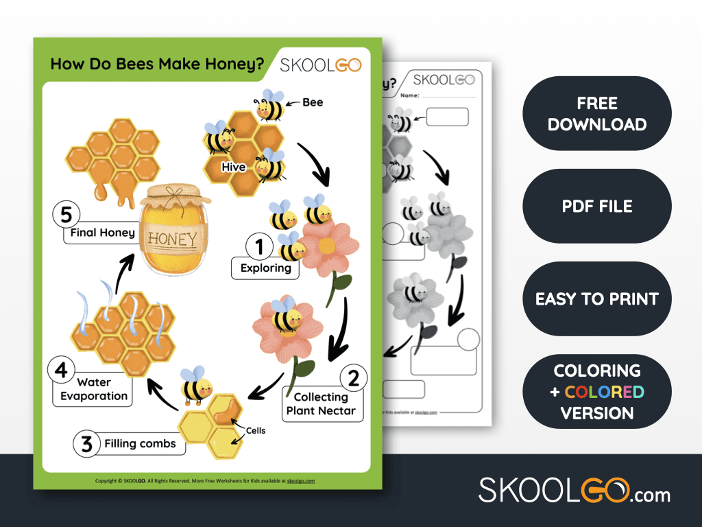 How Do Bees Make Honey Free Worksheet SKOOLGO