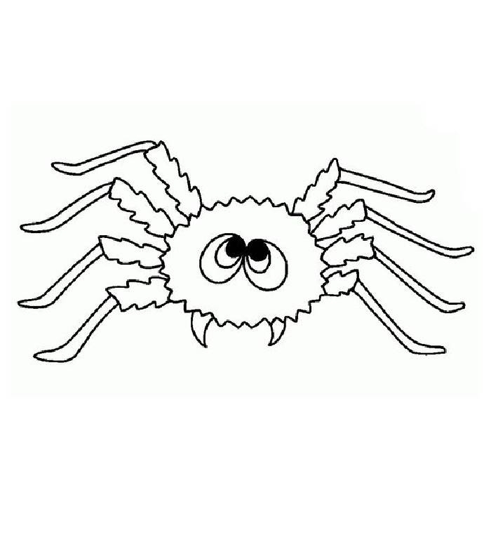Itsy Bitsy Spider Coloring Page