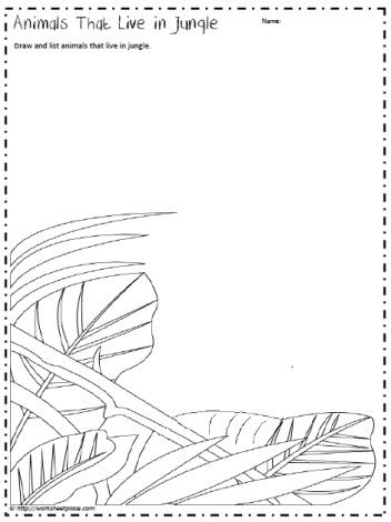 printable jungle worksheets for preschool