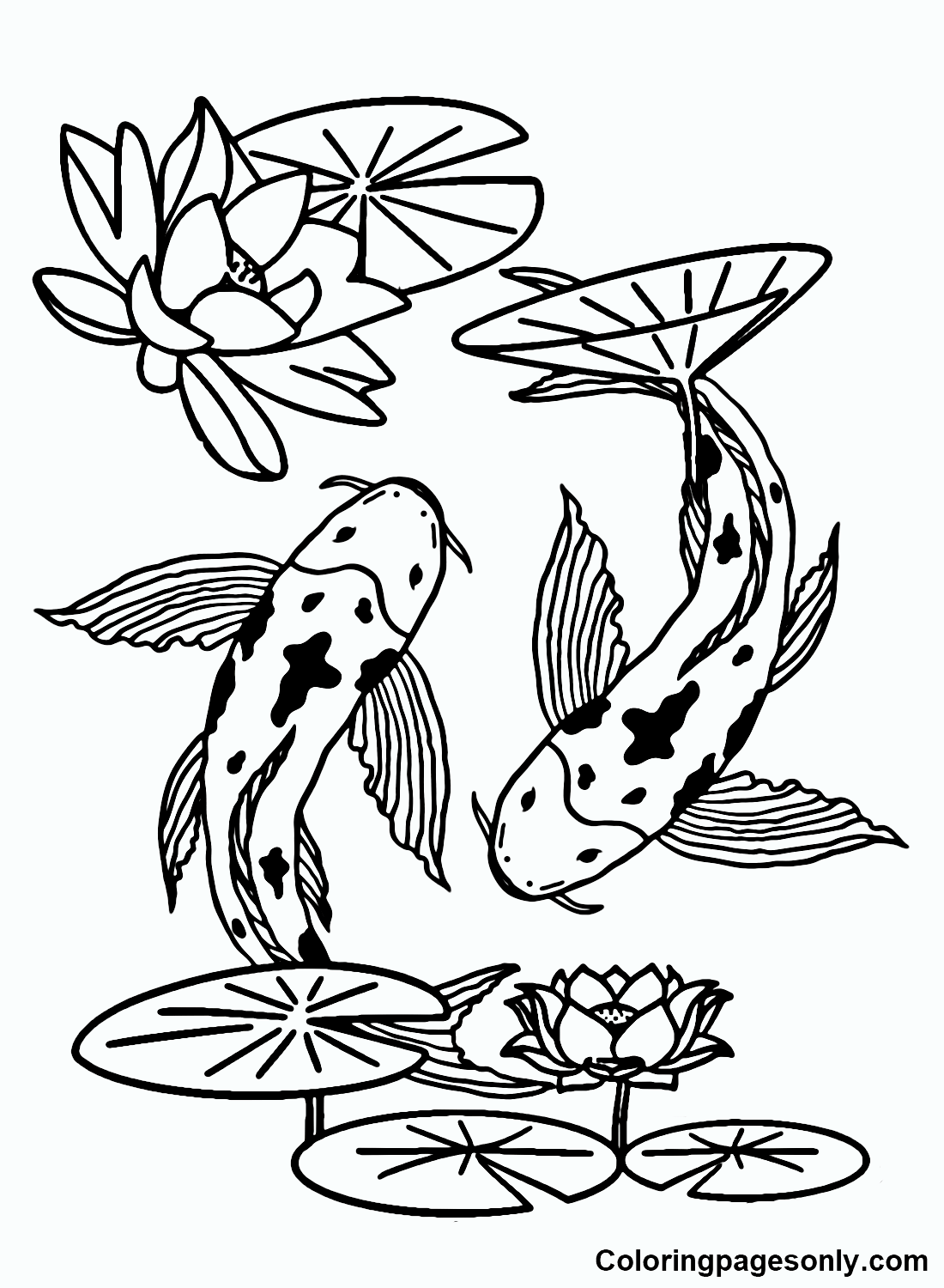 Koi Fish Coloring Pages Printable For Free Download