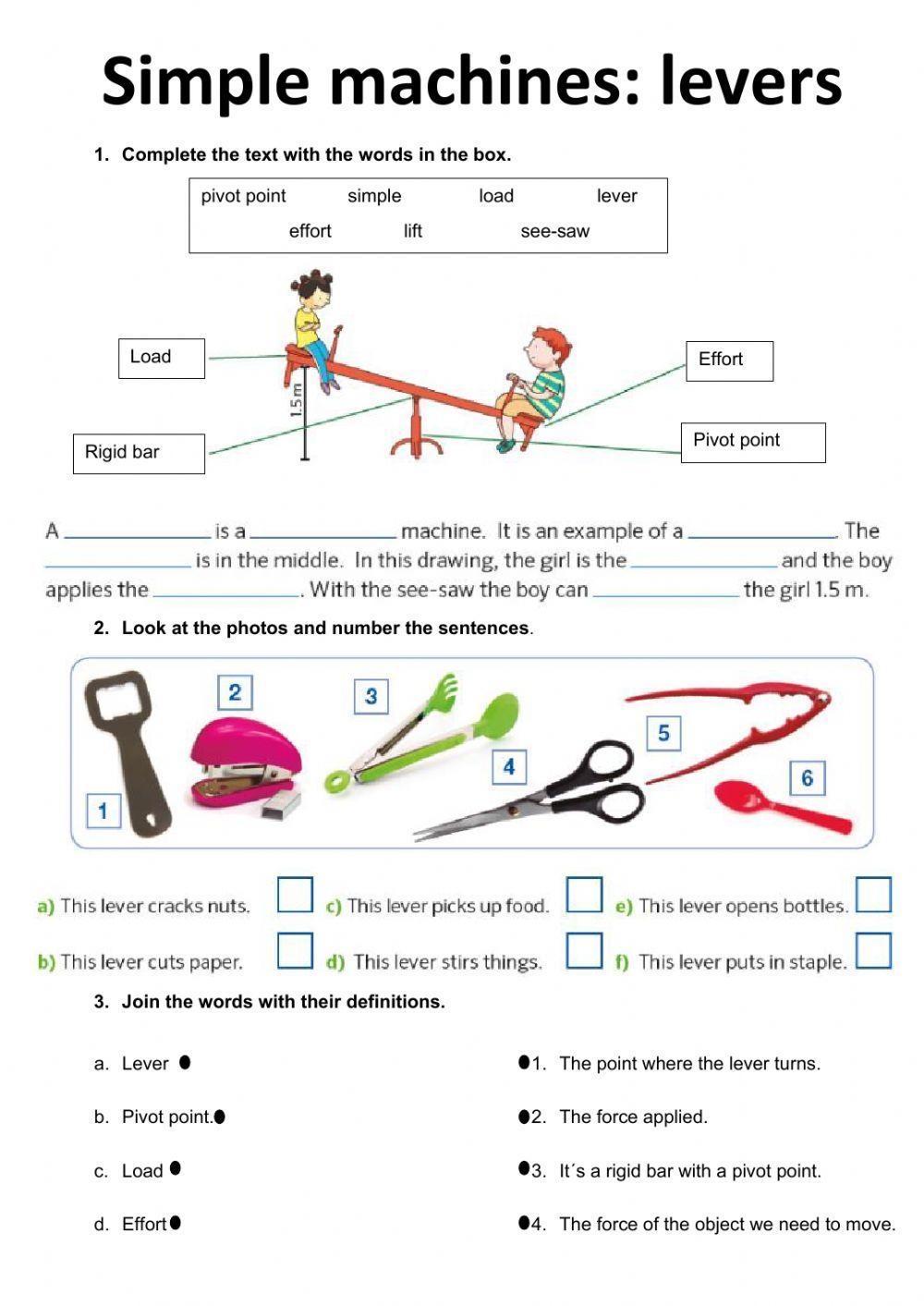 printable levers worksheet