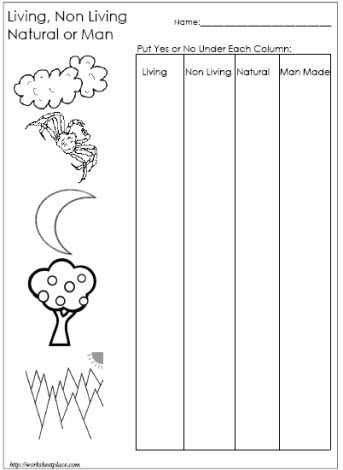 Living And Non Living Things Worksheet Kindergarten Math Worksheets 