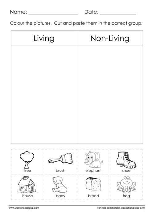 living and non living things worksheet