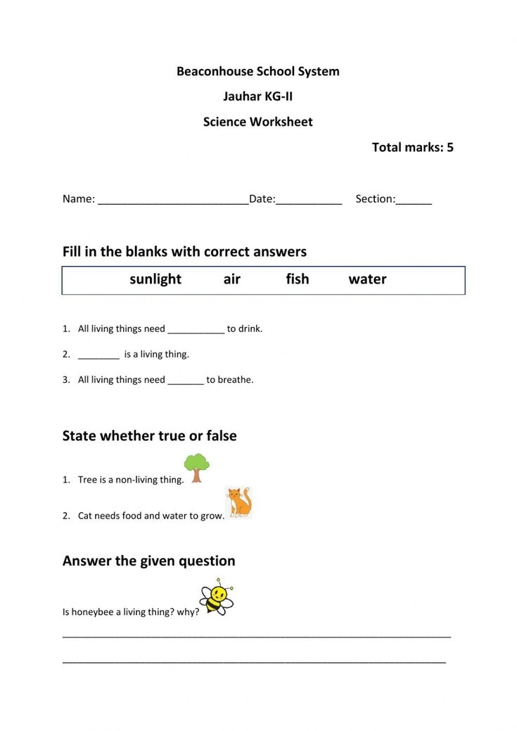 Living And Non Living Things Worksheet