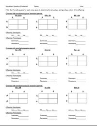 Mendelian Genetics Key PDF Worksheets Library