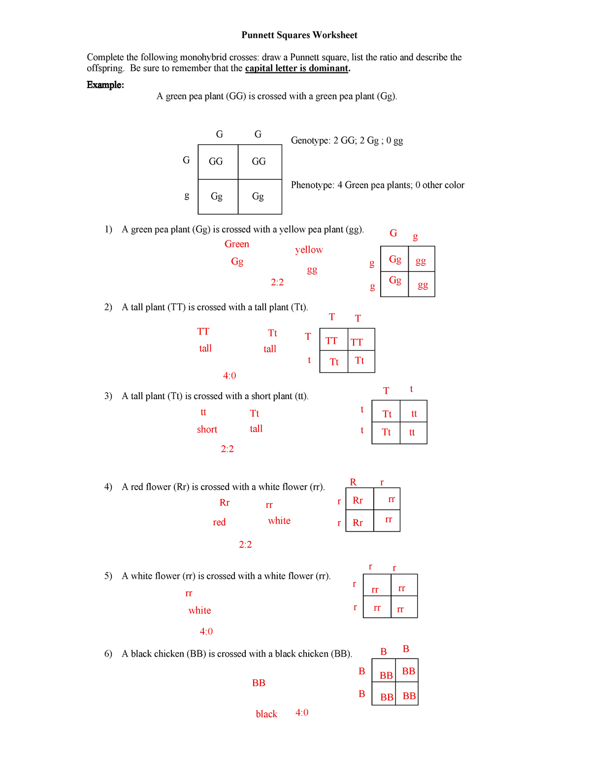 Monohybrid Cross Punnett Square Practice Worksheet Worksheets Library