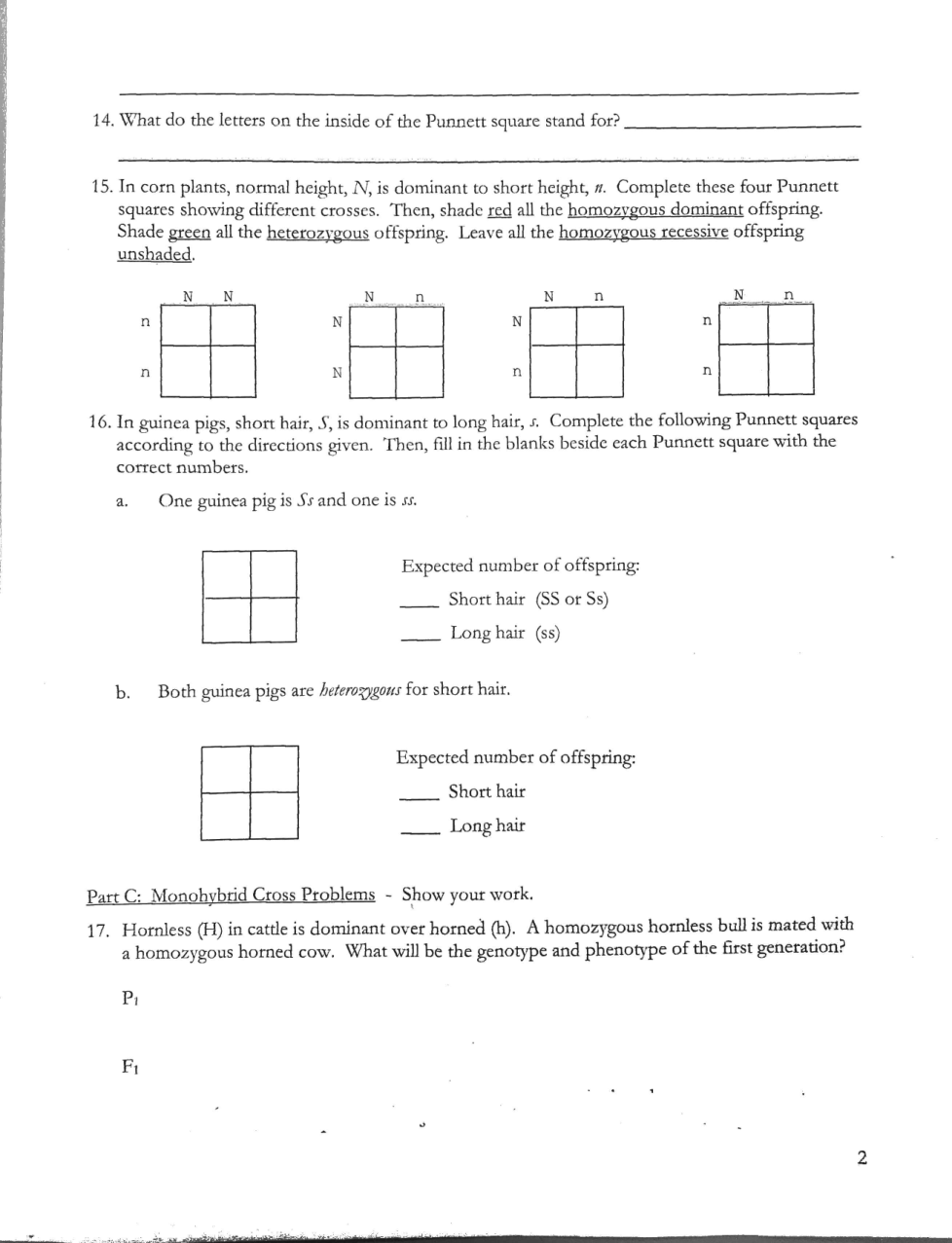 Monohybrid Cross Worksheet Heather E Fussell Library Formative 